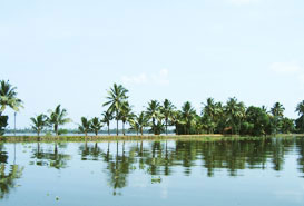 vembanad lake